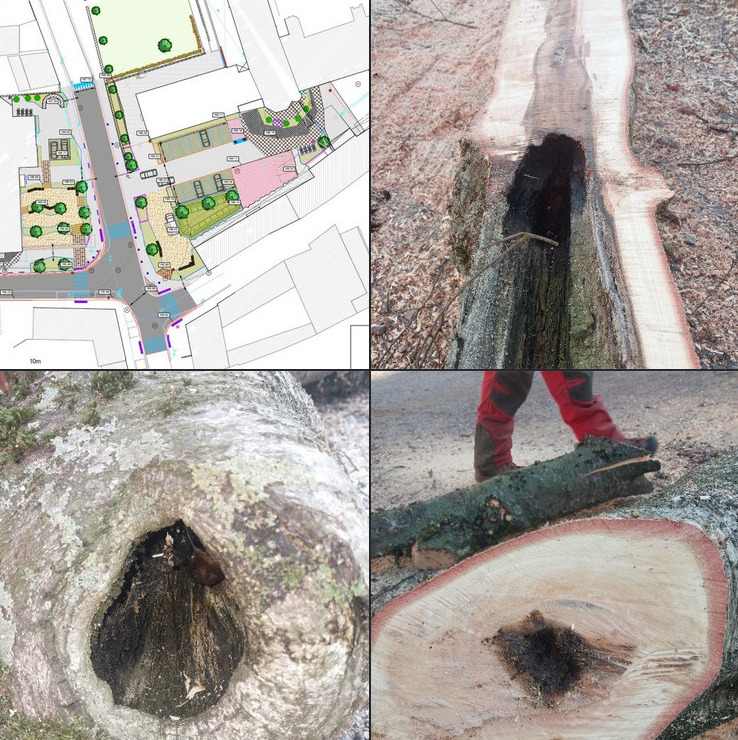 ABATTAGE DES ARBRES PLACE DE LA MAIRIE